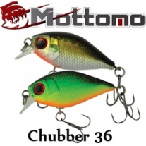 Mottomo Chubber