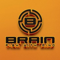 Brain