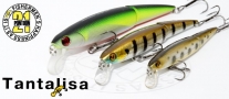 Tantalisa 70JSP-SR