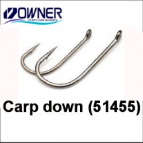 Carp down (51455)