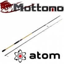 Atom