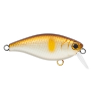 Itumo Chip 40 F SR, цвет 18