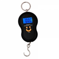 Весы-портабл электронные 50кг, с батарейками