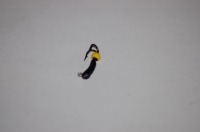 Коза (вольфрам), размер 2.0 мм, вес 0.34 г.