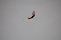 Коза  (вольфрам), размер 1.5 мм, вес 0.18 г.