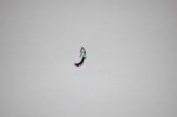 Коза с коронками (вольфрам), размер 1.5 мм, вес 0.2 г.