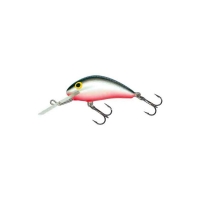 Воблер тонущущий Salmo HORNET S 06/GS