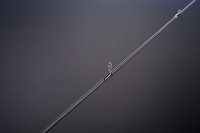 Спиннинг Black Hole HURRICANE MS-672ML 201 3,5-10,5г