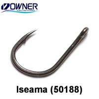 Iseama (50188) № 12