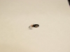 Мормышка Овсинка (вольфрам), размер 2 мм вес 0.25г