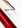 Удочка оснащенная Kaide Speci-Dorsch 3.0m 100-200g